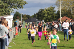 Herbstlauf0291