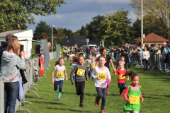 Herbstlauf0294