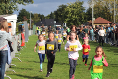 Herbstlauf0295