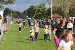 Herbstlauf0300
