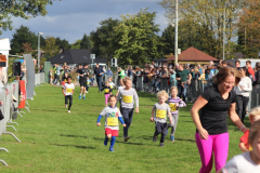 Herbstlauf0301