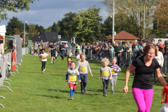 Herbstlauf0302