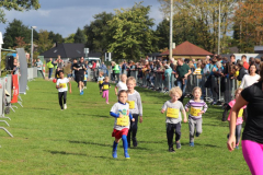 Herbstlauf0303