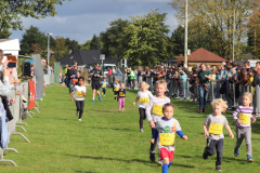 Herbstlauf0305