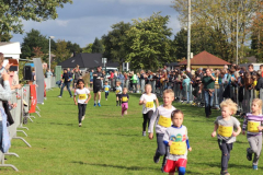 Herbstlauf0306