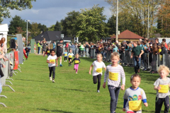 Herbstlauf0308