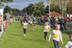 Herbstlauf0310