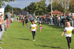 Herbstlauf0315