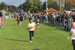 Herbstlauf0316