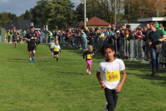 Herbstlauf0320