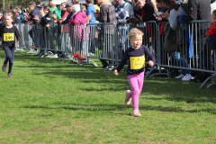 Herbstlauf0323