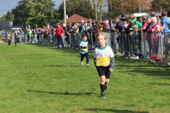 Herbstlauf0326