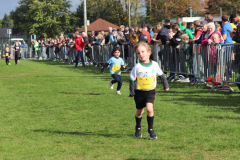 Herbstlauf0327