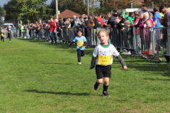 Herbstlauf0328