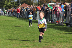 Herbstlauf0329