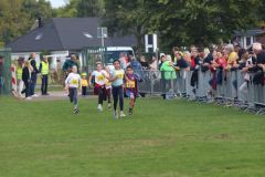 Herbstlauf0399