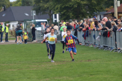 Herbstlauf0409