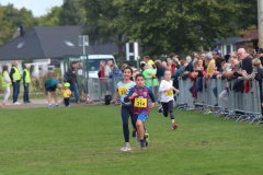 Herbstlauf0413