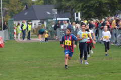 Herbstlauf0415