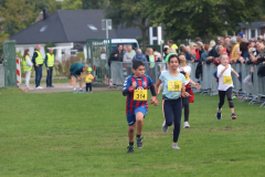 Herbstlauf0416