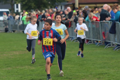 Herbstlauf0420
