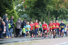 Herbstlauf-21171