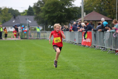 Herbstlauf-21194