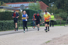 10-km393