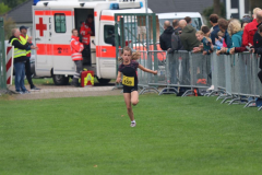 3-km100