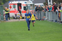 3-km113