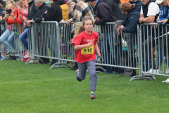3-km123