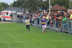 3-km201