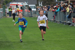 3-km220