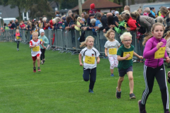 Kinder088