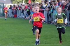 Herbslauf-3-km-Kinder-2019014 Herbslauf-3-km-Kinder-2019014