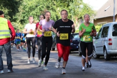 Herbslauf-5-km-2019018 Herbslauf-5-km-2019018