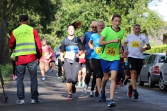 Herbslauf-5-km-2019022 Herbslauf-5-km-2019022