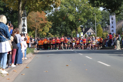 HL26_5km_015