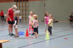 MiniSport22