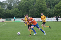 Halbfinale004