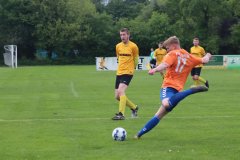 Halbfinale010