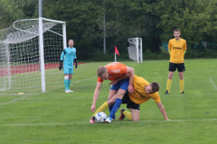 Halbfinale020