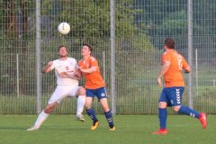 IMG_1731-2