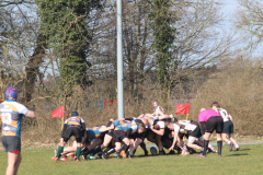 Rugby202503150001 Rugby202503150001