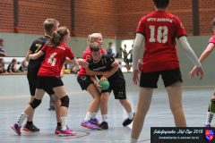 scholjegerdes-cup-c-2019035 scholjegerdes-cup-c-2019035