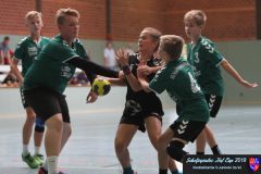 scholjegerdes-cup-c-2019054 scholjegerdes-cup-c-2019054