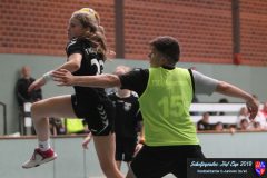 scholjegerdes-cup-c-2019082 scholjegerdes-cup-c-2019082