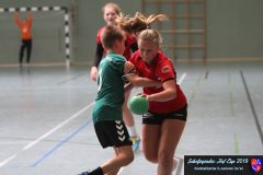 scholjegerdes-cup-c-2019102 scholjegerdes-cup-c-2019102