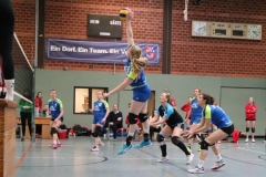 IMG_7638 (2)