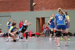 IMG_7906 (2)